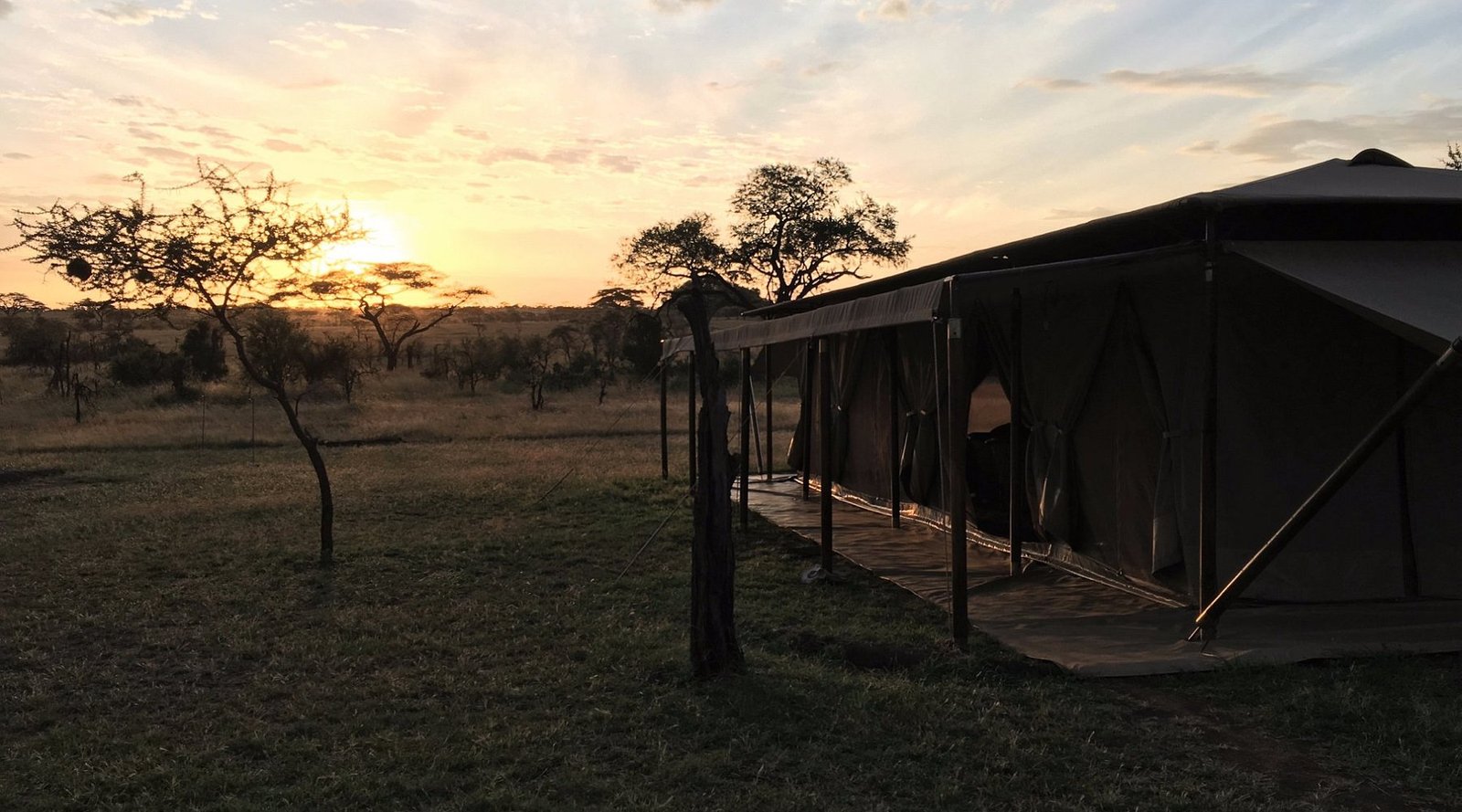Siringit Serengeti Camp